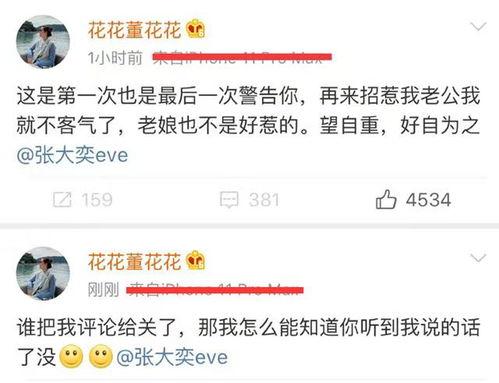 娱乐圈吃瓜张大奕,揭秘张大奕的明星生活与争议风波